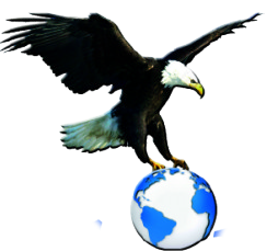 Achilles Services logo